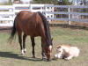 Jolene & Arthur - May 31/09