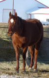 Alice - Jan16, 2010