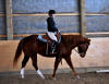 Angus - Jan. 2011
