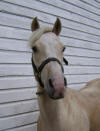 Arthur - July 7, 2010