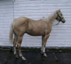 Arthur - July 7, 2010