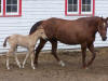 Charlotte & Mariah - June14/2009