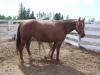 Charlotte - June14/2009