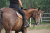 Chester & Donna - August 2010