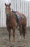 Dezi - July 7, 2010
