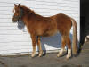 Edgar - Mar.3/2010