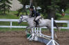 Farrah - June 5, 2011