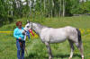 Farrah - June 5, 2011