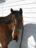 Mar.3/2010