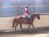 Will - Aug.9/09