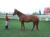 Will - Aug.9/09